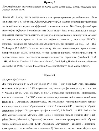 Молекулы нуклеиновых кислот, кодирующие wrinkled1-подобные полипептиды, и способы их применения в растениях (патент 2385347)