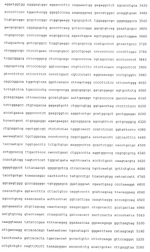 Анти-глипикан 3-антитело, имеющее модифицированную сахарную цепь (патент 2451030)