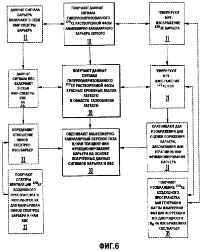 Системы и способы оценки переноса газа в легких, используя mpt с гиперполяризованным 129xe (патент 2452372)