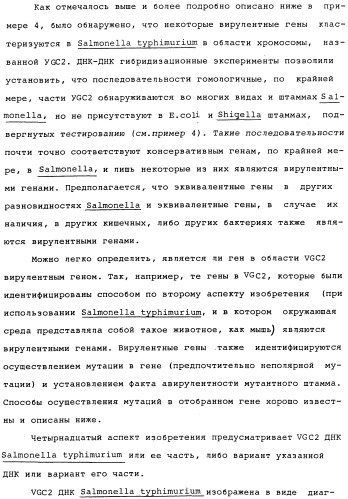 Vgc2 днк salmonella typhimurium, мутантная бактерия, обладающая пониженной способностью к адаптации к условиям окружающей среды, и способ ее получения (патент 2370541)