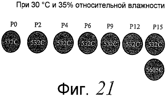 Индикатор кислорода для применения в медицинской продукции (патент 2405141)