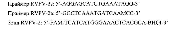 Набор олигонуклеотидных праймеров и флуоресцентно-меченого зонда для идентификации рнк вируса лихорадки долины рифт методом от пцр в реальном времени (патент 2552795)