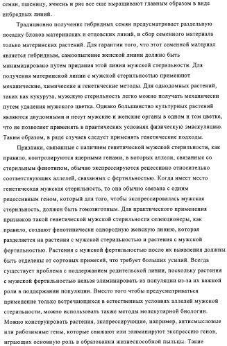 Способ избирательного получения растений с мужской или женской стерильностью (патент 2320722)