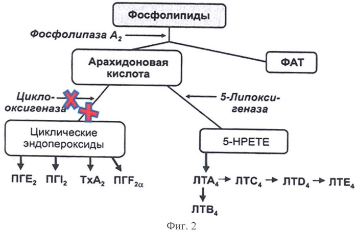 Способ лечения оперированного незакрывшегося макулярного отверстия (патент 2458656)