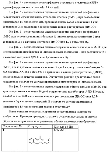 Способ лечения и предупреждения потери костной ткани (патент 2319483)
