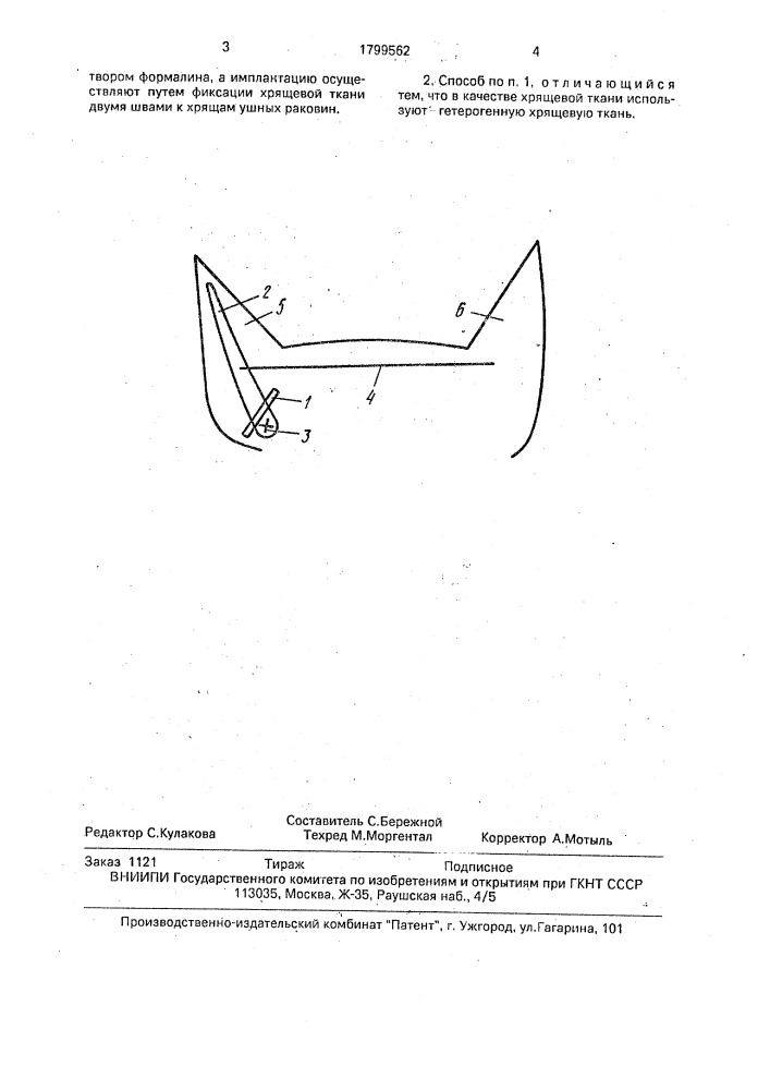 Способ пластики ушной раковины собаки (патент 1799562)