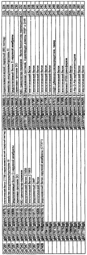 Иммунизация против chlamydia trachomatis (патент 2331435)