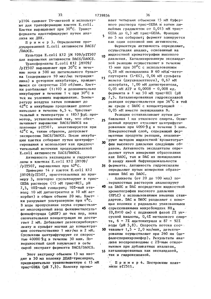 Способ конструирования рекомбинантной плазмидной днк, кодирующей фермент деацетоксицефалоспорин с синтетазу/деацетилцефалоспорин с синтетазу (патент 1739856)