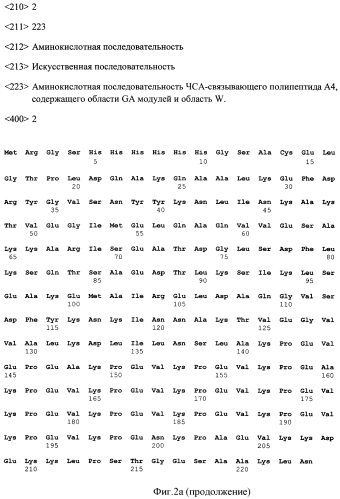 Рекомбинантная днк pa4, рекомбинантная днк pqe 30-pa4, обеспечивающие получение полипептида a4, штамм esherichia coli m 15-a4, трансформированный рекомбинантной плазмидной днк pqe 30-pa4 и экспрессирующий рекомбинантный полипептид a4, рекомбинантный полипептид a4, обладающий способностью селективно связывать чса, аффинные сорбенты (варианты) и способы удаления чса и igg из сыворотки крови (варианты) (патент 2572343)