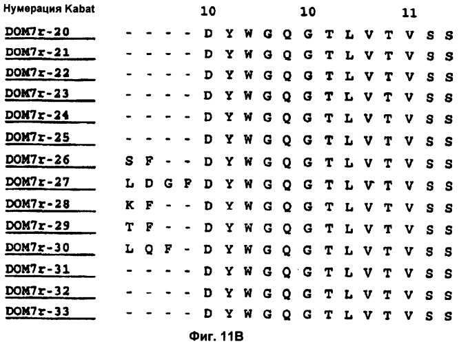Слитые конструкции лекарственного средства и конъюгаты (патент 2428431)