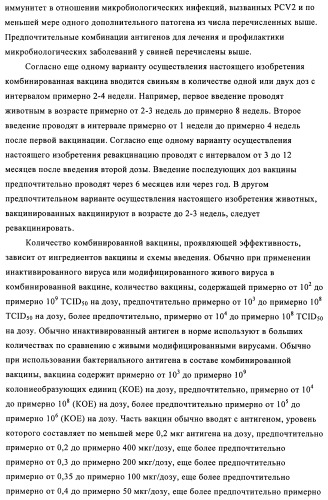 Поливалентные иммуногенные композиции pcv2 и способы получения таких композиций (патент 2488407)