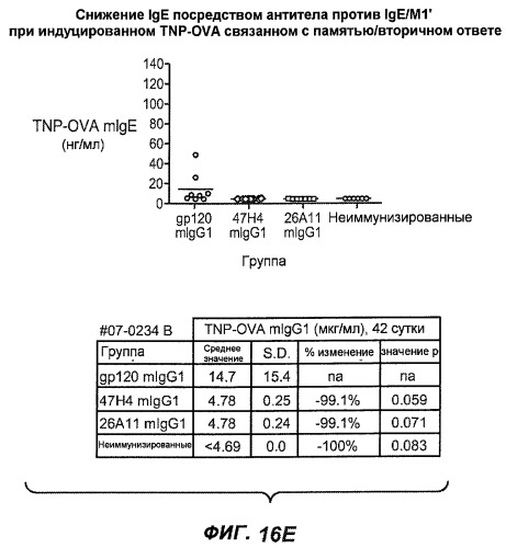 Апоптотические антитела против ige (патент 2500686)