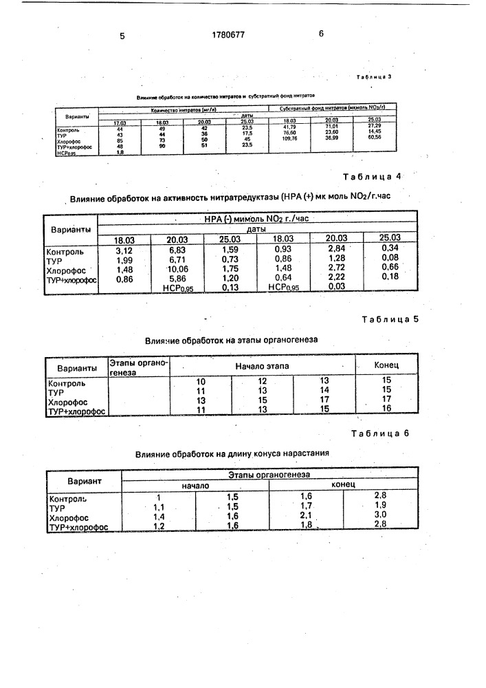 Способ выращивания пшеницы (патент 1780677)