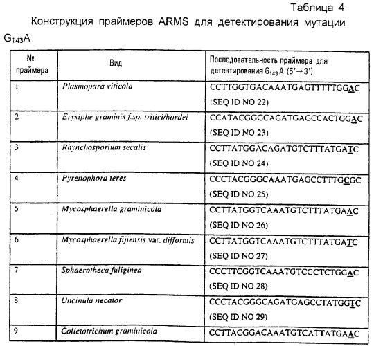 Диагностические способы обнаружения мутации цихрома b в грибах (патент 2244750)