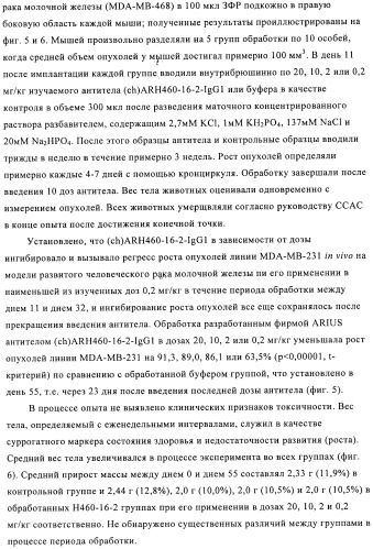 Химерные и гуманизированные антитела к cd44, которые опосредствуют цитотоксичность в отношении раковых клеток (патент 2487723)