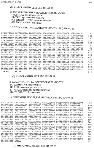 Гемопоэтический белок (варианты), последовательность днк, способ получения гемопоэтического белка, способ селективной экспансии кроветворных клеток, способ продуцирования дендритных клеток, способ стимуляции продуцирования кроветворных клеток у пациента, фармацевтическая композиция, способ лечения (патент 2245887)