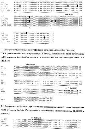 Способ идентификации лактобацилл (патент 2526576)