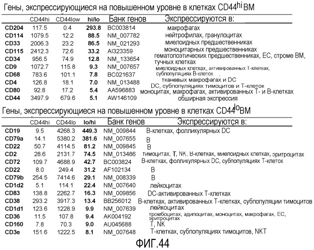 Выделенные популяции миелоподобных клеток и способы лечения с использованием таких популяций (патент 2473686)