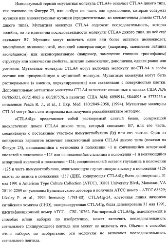 Способ лечения сердечно-сосудистого заболевания с применением растворимого ctla4 (патент 2353384)