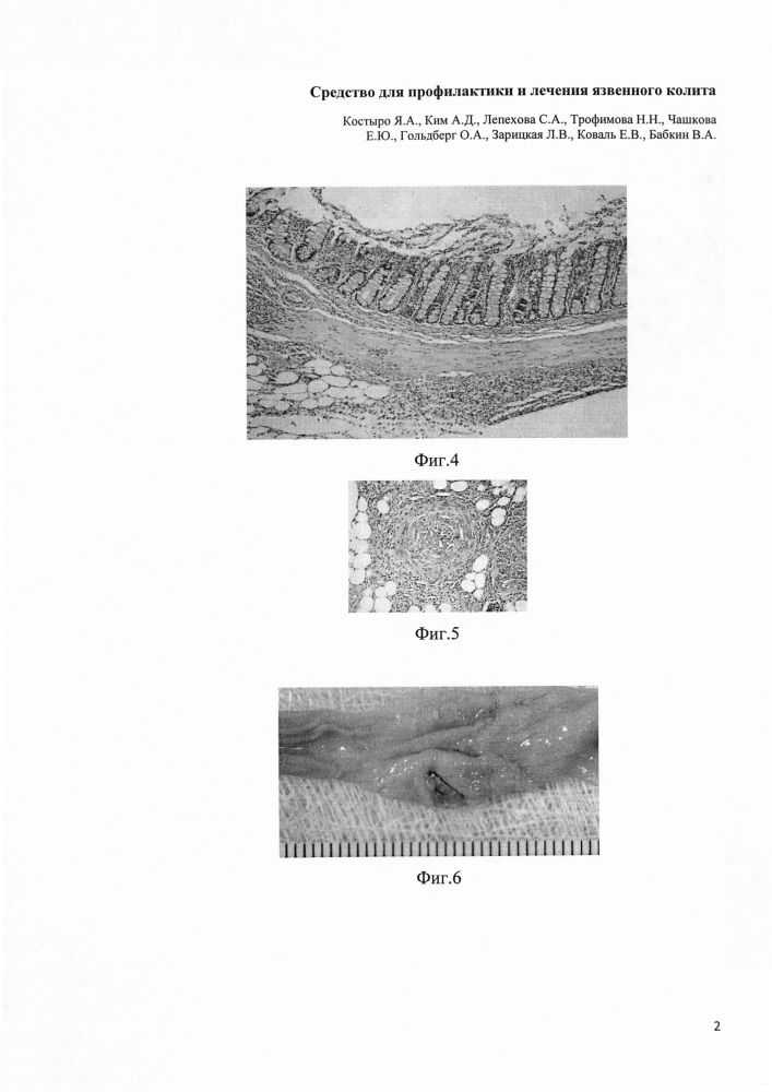 Средство для профилактики и лечения язвенного колита (патент 2649119)