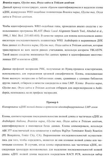 Молекулы нуклеиновых кислот, кодирующие wrinkled1-подобные полипептиды, и способы их применения в растениях (патент 2385347)