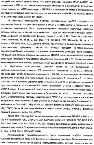 Способ лечения заболеваний, связанных с masp-2-зависимой активацией комплемента (варианты) (патент 2484097)