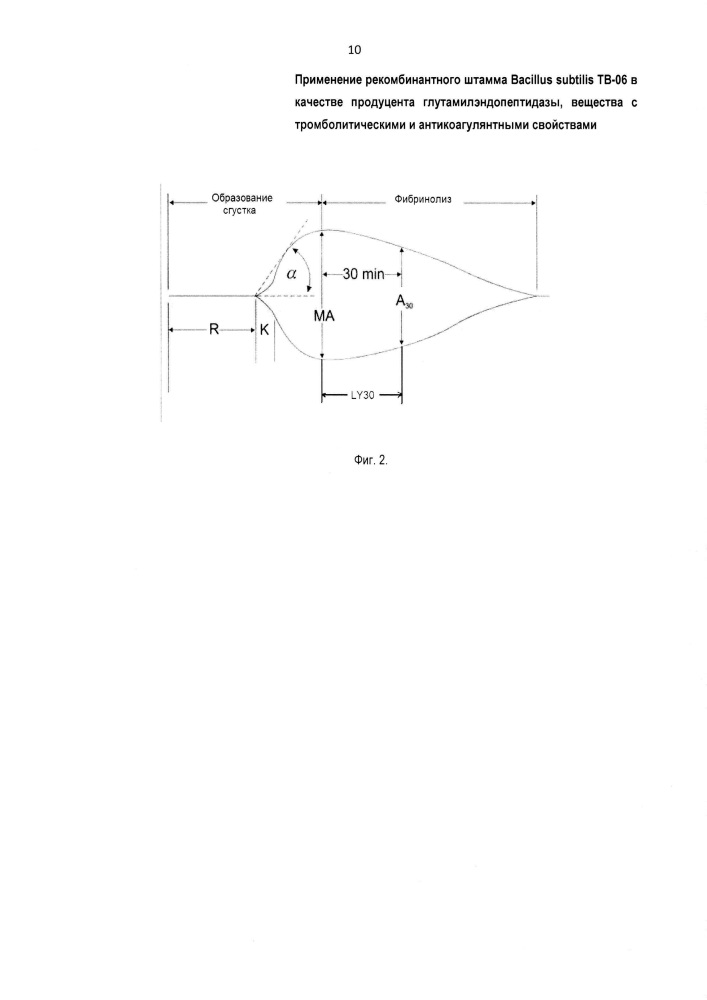 Применение рекомбинантного штамма bacillus subtilis тв-06 в качестве продуцента глутамилэндопептидазы, вещества с тромболитическими и антикоагулянтными свойствами (патент 2611378)