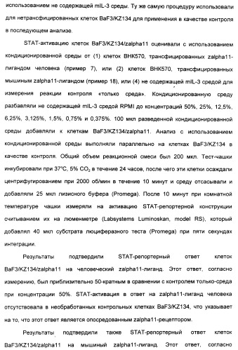 Выделенный полипептид, связывающий рецептор zalpha11-лиганда (варианты), кодирующий его полинуклеотид (варианты), вектор экспрессии (варианты) и клетка-хозяин (варианты) (патент 2346951)