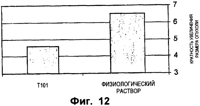 Тимус-специфический белок (патент 2398776)