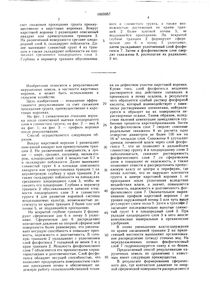 Способ рекультивации нарушенных земель (патент 1605957)