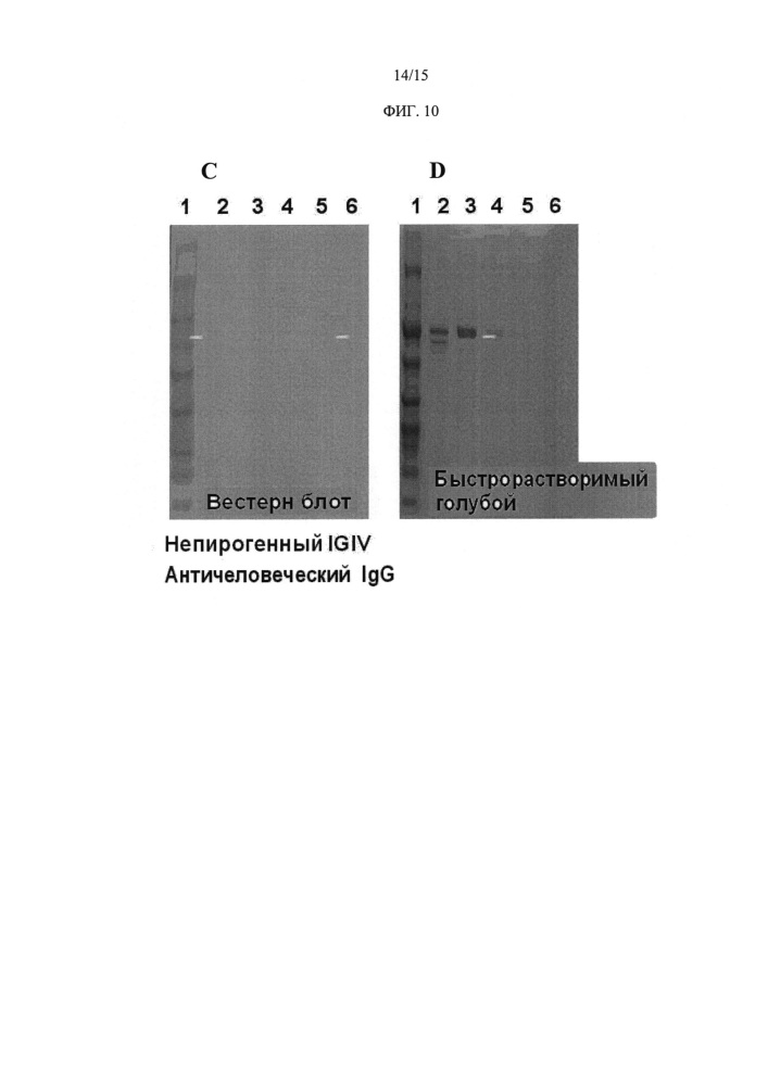 Определение атипичных антител в крови и продуктах крови человека (патент 2622984)