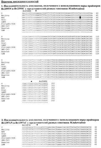 Способ генотипирования штаммов mycobacterium tuberculosis (патент 2547598)