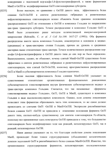 Конструкции слияния и их применение для получения антител с повышенными аффинностью связывания fc-рецептора и эффекторной функцией (патент 2407796)