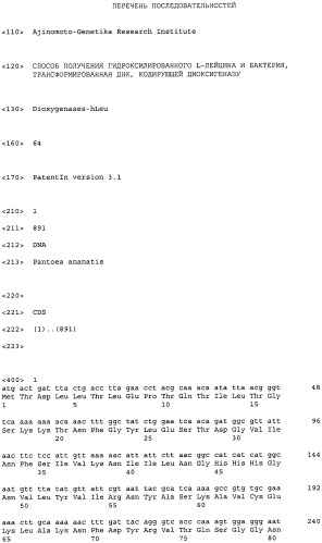 Способ получения гидроксилированного l-лейцина и бактерия, трансформированная днк, кодирующей диоксигеназу (патент 2468085)
