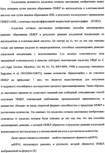 Новая альдолаза, днк, кодирующая альдолазу, клетки, трансформированные днк, способ получения альдолазы и способ получения 4-гидрокси-l-изолейцина (варианты) (патент 2338784)