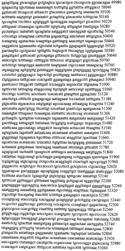 Модуляция экспрессии гентингтина (патент 2562861)