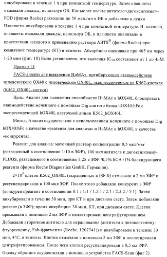 Антитела к ох40l (патент 2395523)