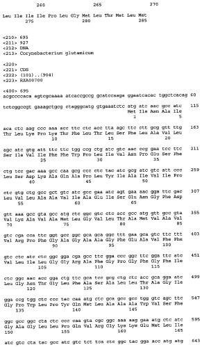 Гены corynebacterium glutamicum, кодирующие белки, участвующие в метаболизме углерода и продуцировании энергии (патент 2321634)