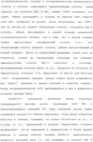 Scfv против egfrviii с улучшенной цитотоксичностью и выходом, иммунотоксины на их основе и способы их применения (патент 2317999)