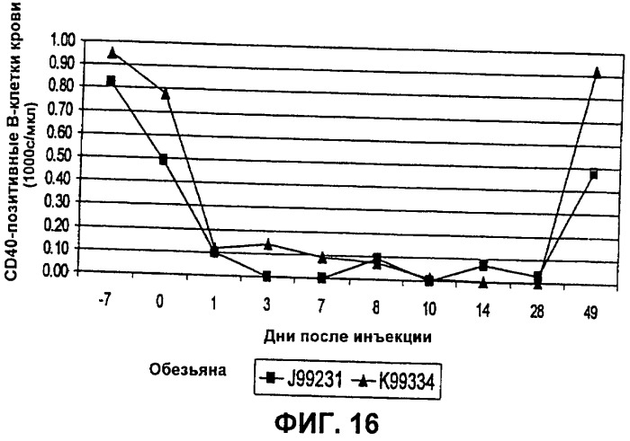 Слитые белки связывающий домен-иммуноглобулин (патент 2420537)