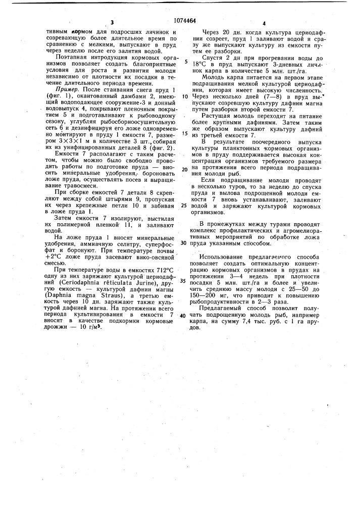 Способ подращивания молоди рыб в прудах (патент 1074464)