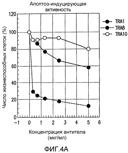 Комбинации антител, обладающих селективностью по отношению к рецептору лиганда, индуцирующему апоптоз, ассоциированный с фактором некроза опухоли, и других терапевтических средств (патент 2313368)