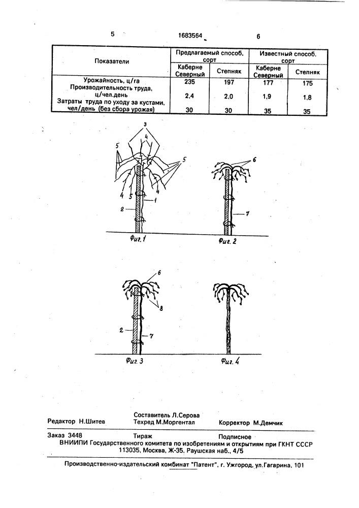 Способ ведения виноградного куста (патент 1683564)