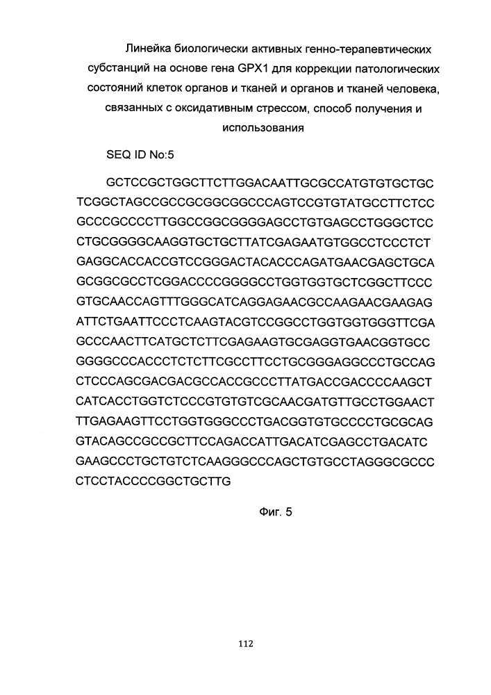 Линейка биологически активных генно-терапевтических субстанций на основе гена gpx1 для коррекции патологических состояний клеток органов и тканей и органов и тканей человека, связанных с оксидативным стрессом, способ получения и использования (патент 2653491)
