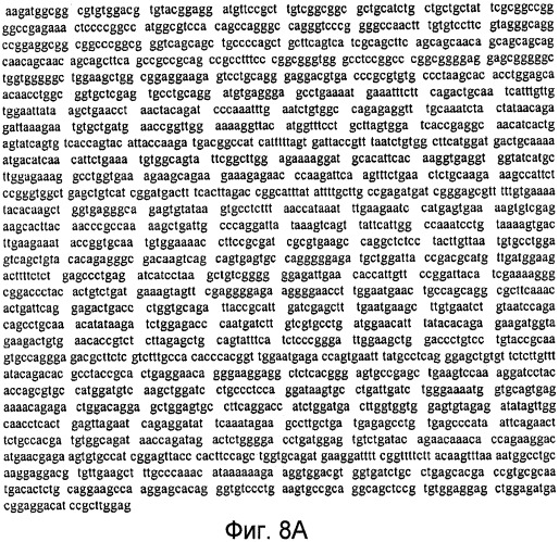 Способы выявления воспалительного заболевания кишечника (патент 2502806)
