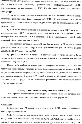 Чипы на основе антител для определения множественных трансдукторов сигналов в редких циркулирующих клетках (патент 2442171)