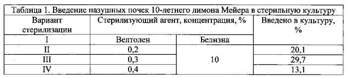 Способ культивирования лимона in vitro (патент 2580033)