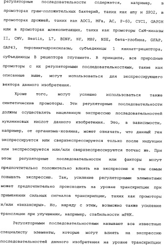 Ее3-семейство белков и соответствующие днк-последовательности (патент 2333918)