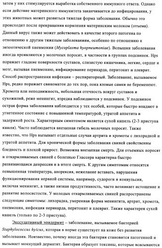 Поливалентные иммуногенные композиции pcv2 и способы получения таких композиций (патент 2488407)