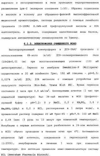 Поликлональное антитело против nogo, фармацевтическая композиция и применение антитела для изготовления лекарственного средства (патент 2432364)